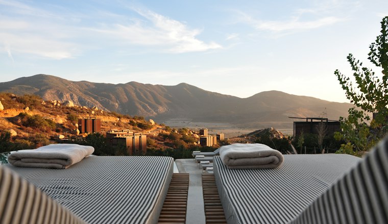 Basil Leaf Hotels